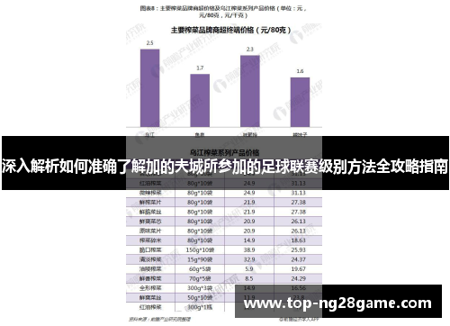 深入解析如何准确了解加的夫城所参加的足球联赛级别方法全攻略指南